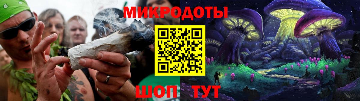 Псилоцибиновые грибы Psilocybe Богородск